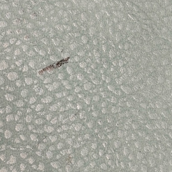 CARLOS by CARLOS Santana Mila Tote - Picture 15 of 17